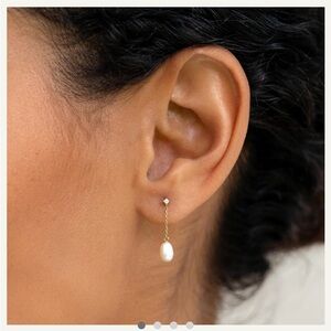 Linjer & Co 14k Gold Pearl Drop Earrings